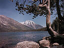 The Grand Tetons - Triptych - Right Panel